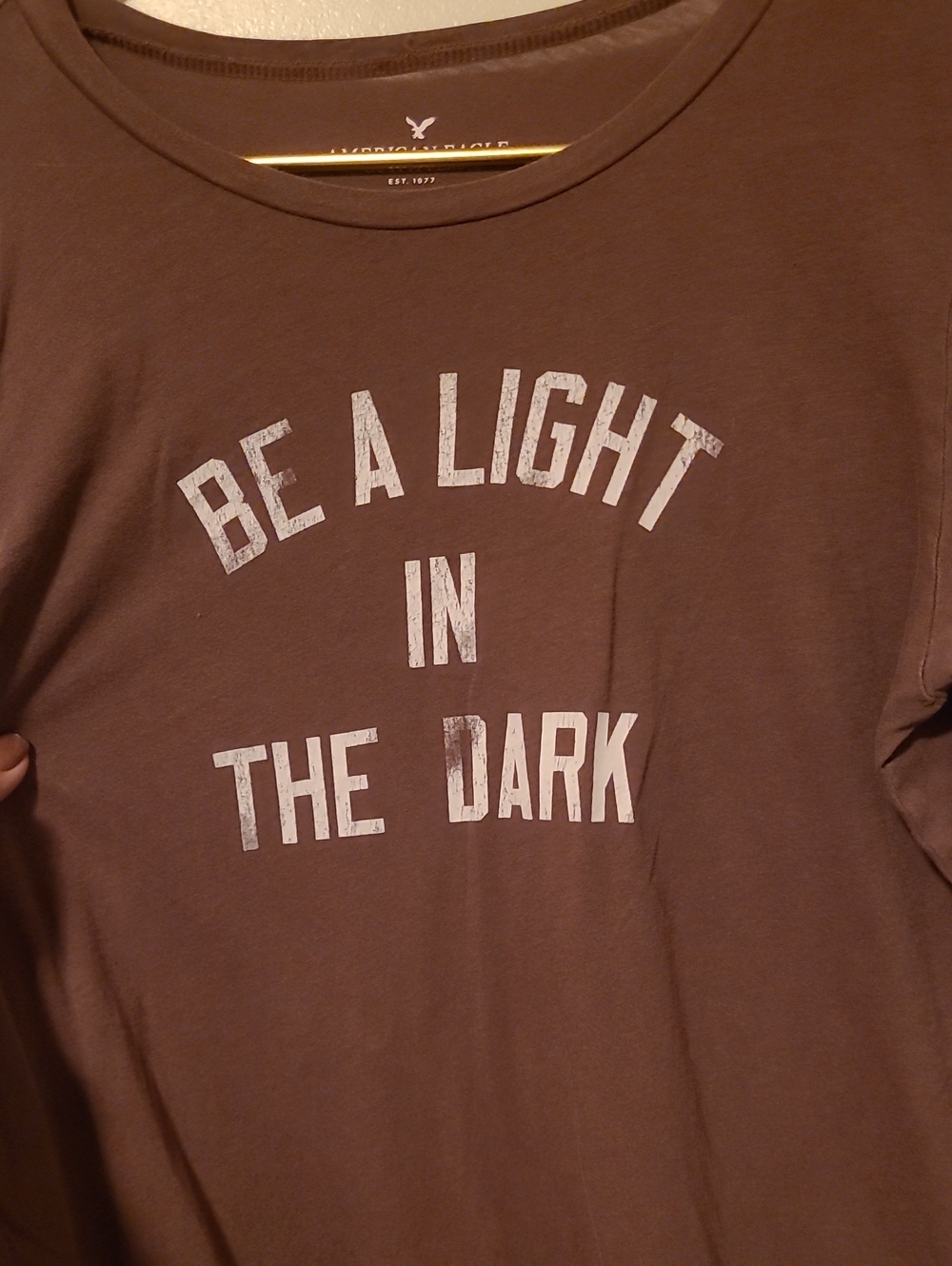 American Eagle Outfitters Brown Crewneck Tee with White Logo